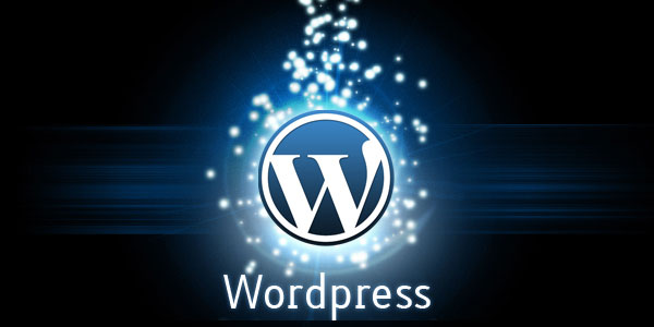 WordPress CMS Logo