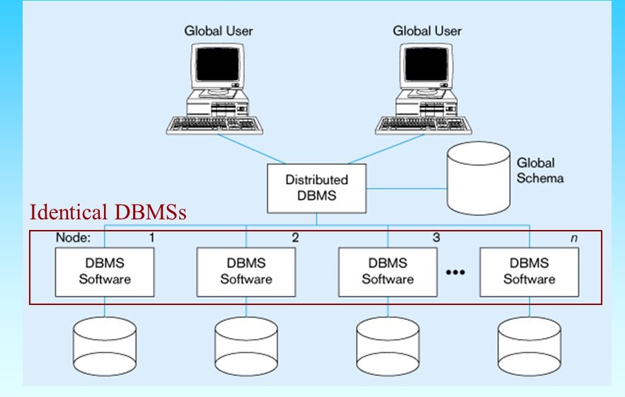 How distributed DBMS function