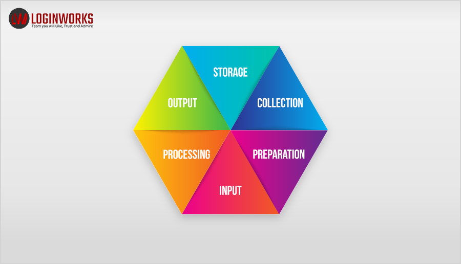 The six steps of the Data Processing Cycle: collection, preparation, input, processing, and output