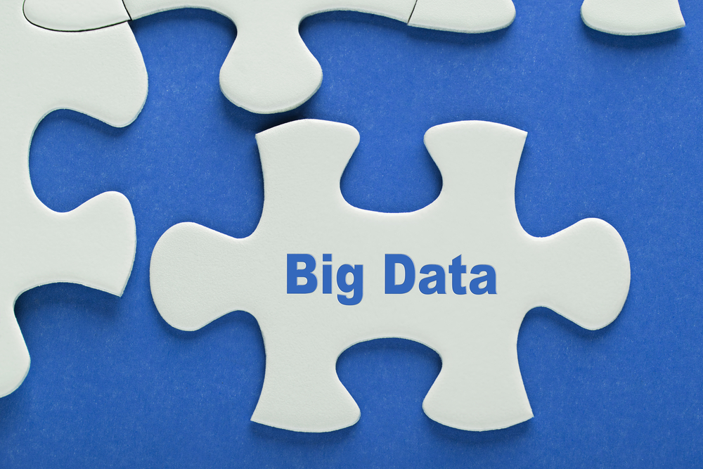 A puzzle piece containing the word Big Data